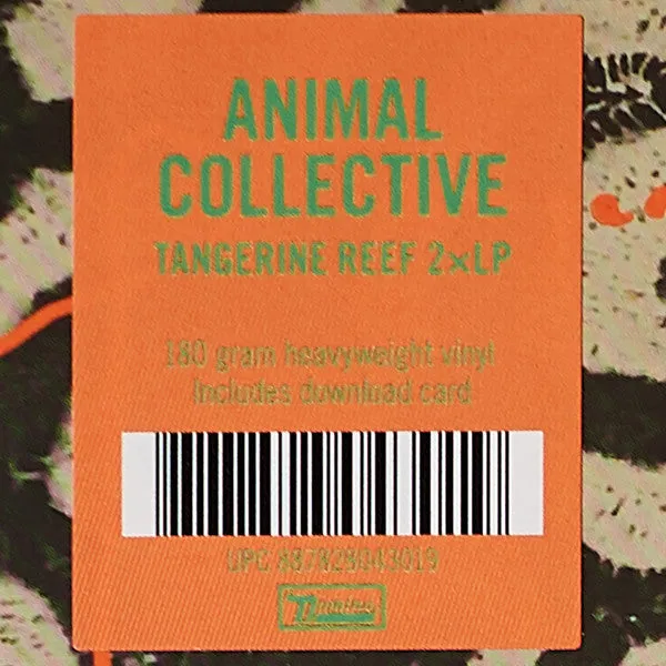 Animal Collective ~ Tangerine Reef