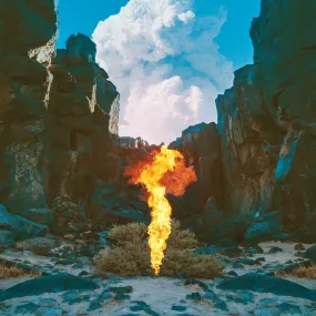 Bonobo ~ Migration