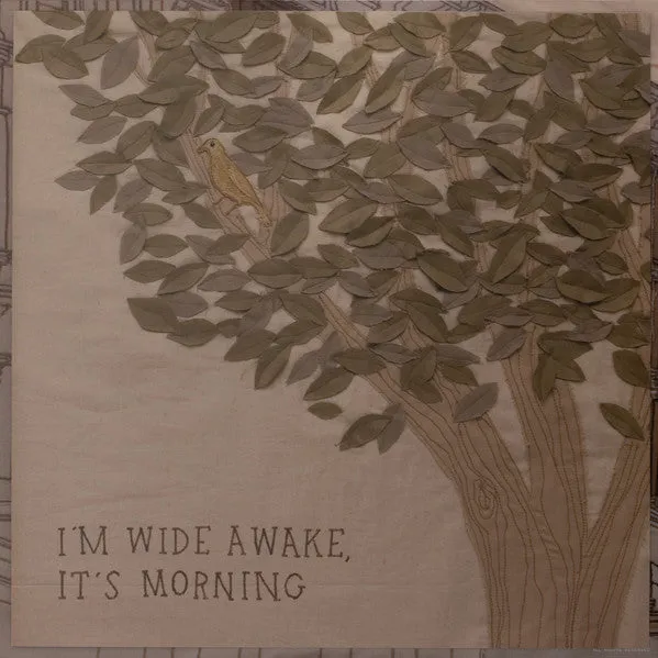 Bright Eyes ~ I'm Wide Awake, It's Morning