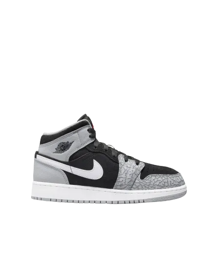 Nike Air Jordan 1 Se (GS)