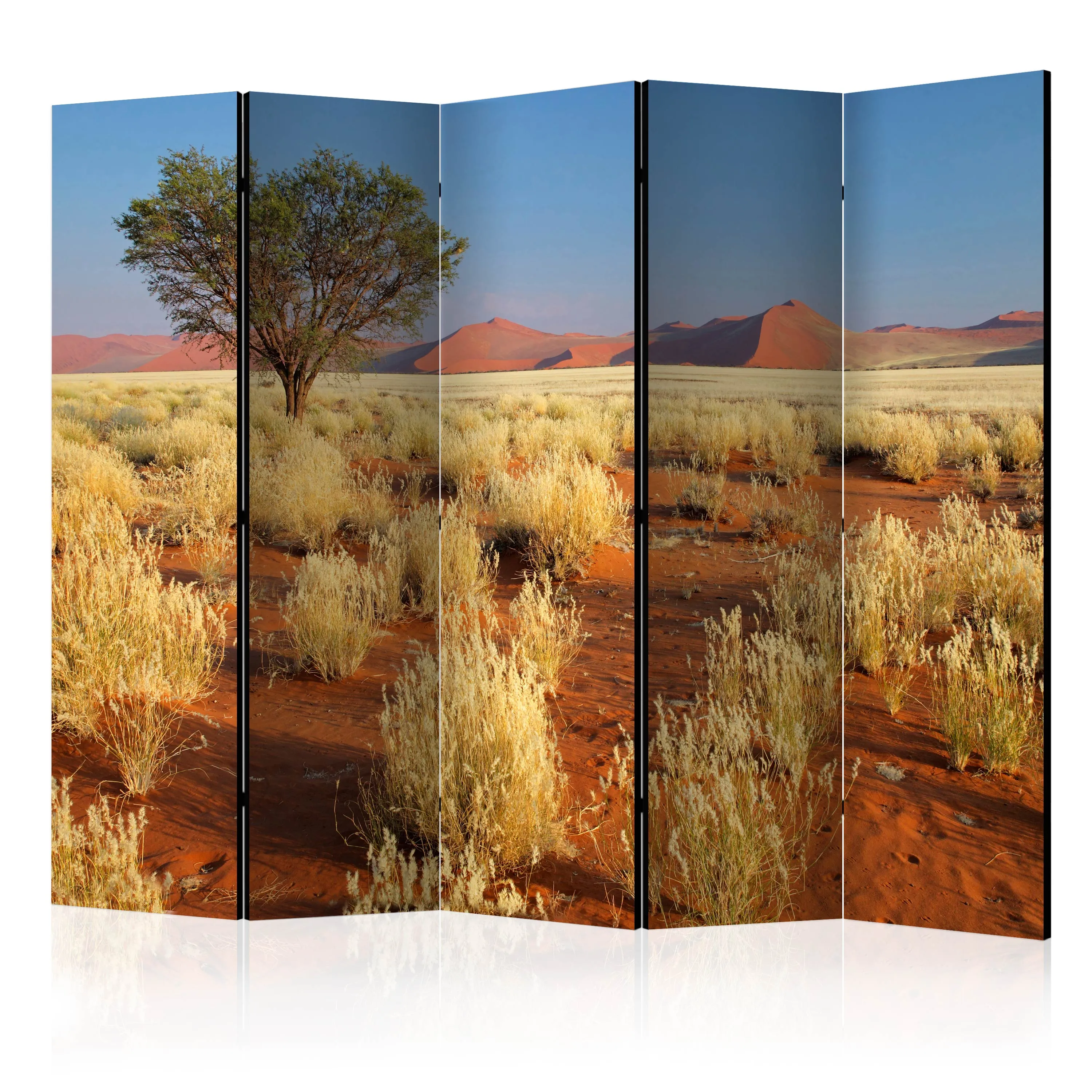 Paravento Desert landscape, Namibia II [Room Dividers]