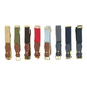 Zaccone Child Solid Elastic Belt