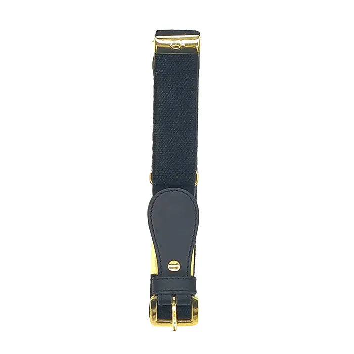 Zaccone Child Solid Elastic Belt